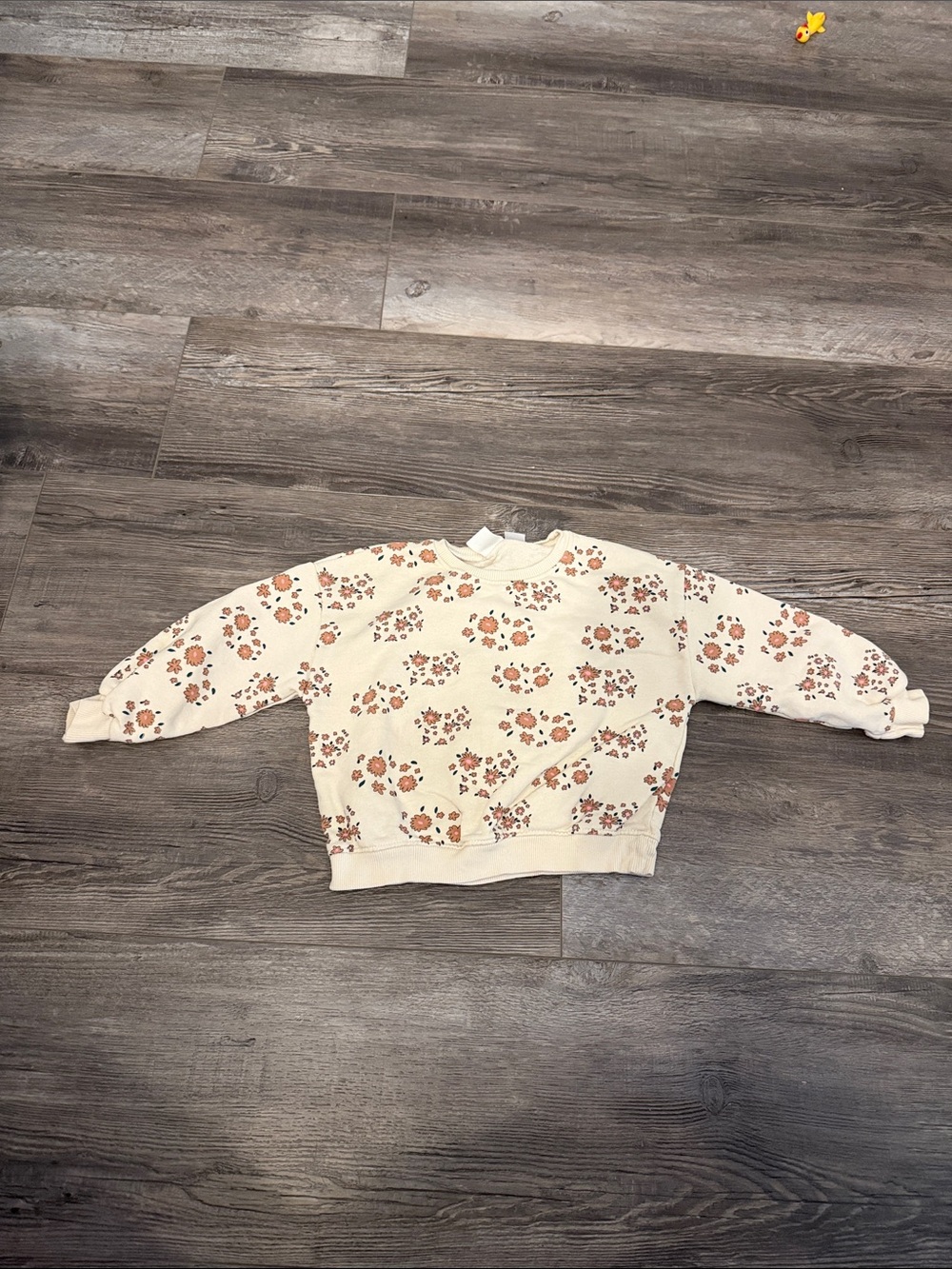 Zara Cream Floral Crewneck Sweatshirt for Kids